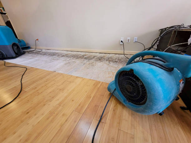 Professional Burst Pipe Water Damage technician working in Avenal, CA